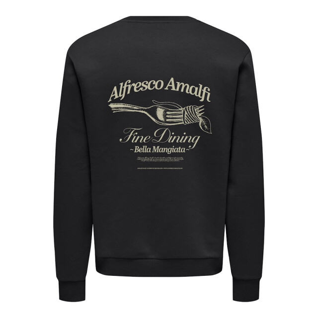 Only & Sons Onsalfresco reg crew neck - 5209.80.0019 large