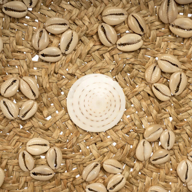 Bazar Bizar The caribe shell plate natural white m JABR071NW-M large