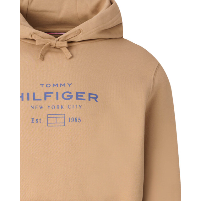Tommy Hilfiger Menswear hoodie 103419-001-L large