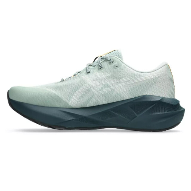 Asics Hardloopschoenen heren 1011C138 large