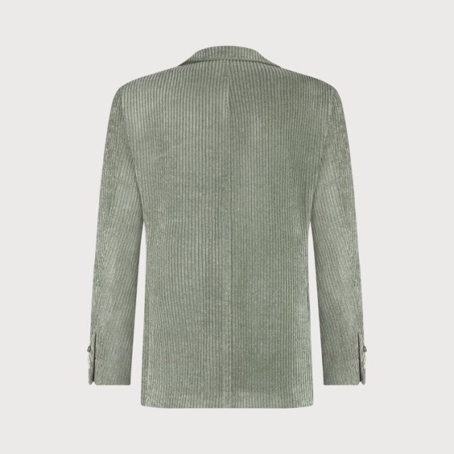 Blue Industry colbert jbiw25-m10 green 05224.369.0016 large