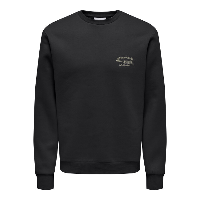 Only & Sons Onsalfresco reg crew neck 22035625 large