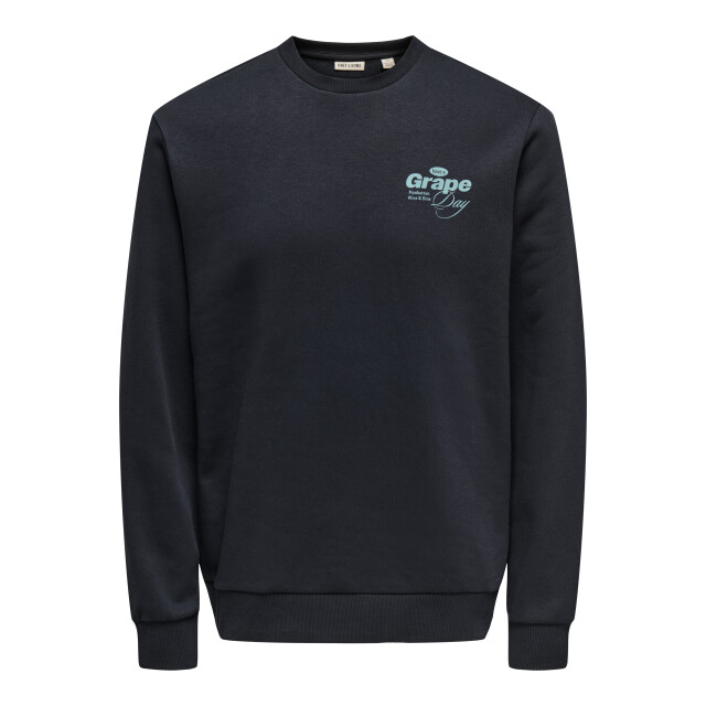 Only & Sons Onsalfresco reg crew neck 22035625 large