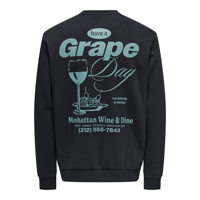 Only & Sons Onsalfresco reg crew neck 22035625 large