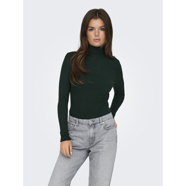 Only Onlnew karol l/s rollneckpullover e 15165075 large