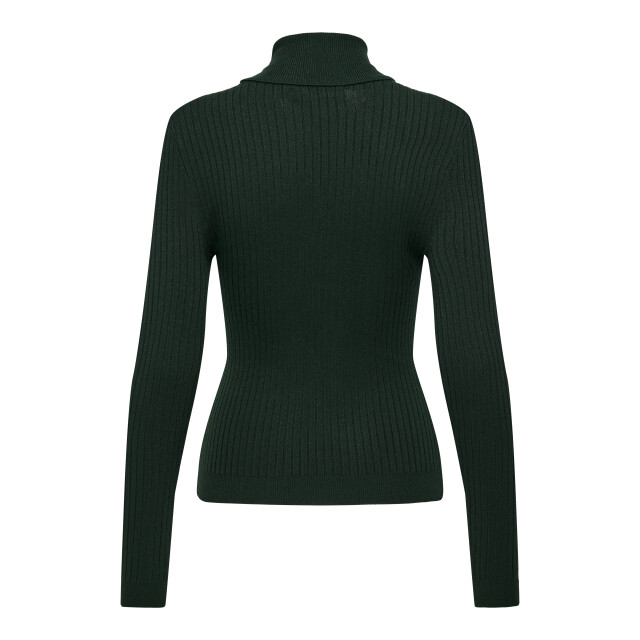 Only Onlnew karol l/s rollneckpullover e 15165075 large
