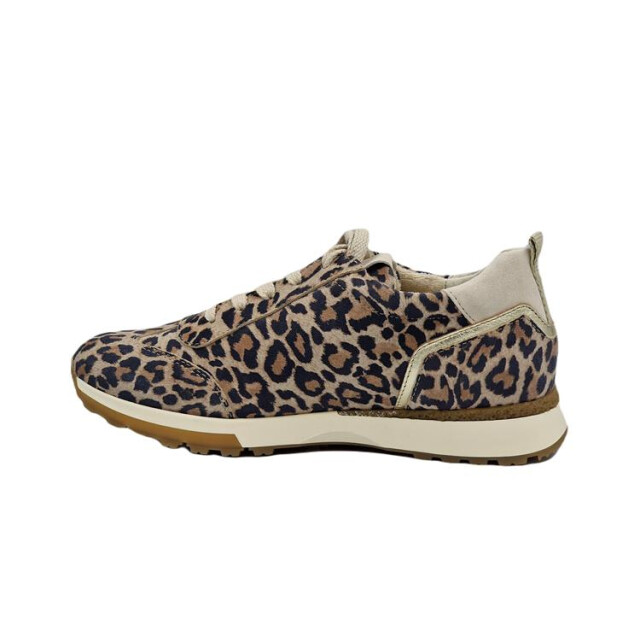 Paul Green 5392 Sneakers Bruin 5392 large