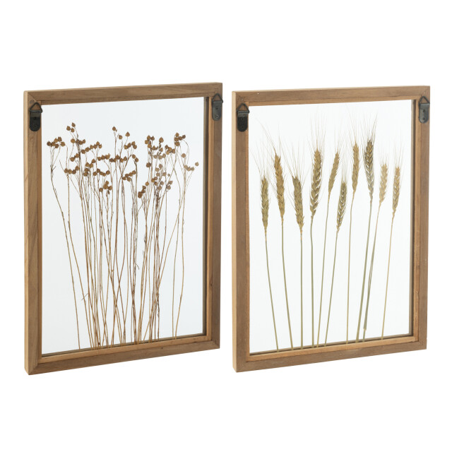 J-Line Wall decoration cereal pinewood/glass transparent/brown assortment of 2 52430 large