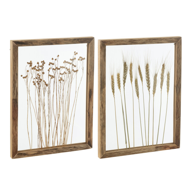 J-Line Wall decoration cereal pinewood/glass transparent/brown assortment of 2 52430 large