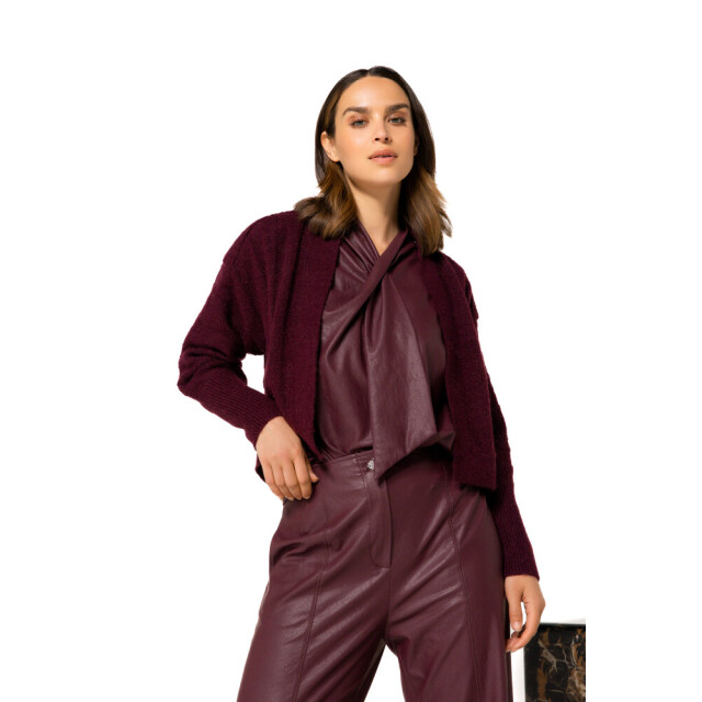 Caroline Biss 4664 55 wine 06011.680.0007 large