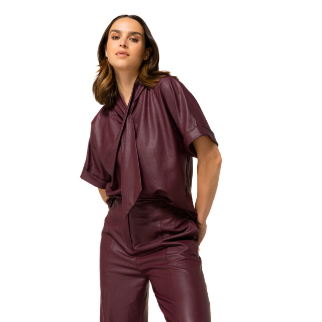 Caroline Biss 4664 55 wine 06011.680.0007 large