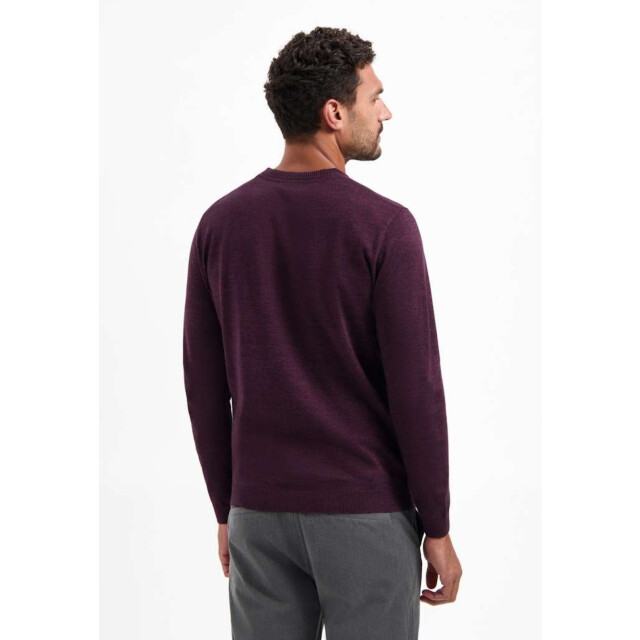 No Excess Pullover crewneck 2 coloured melang dark wine 29210880SN-164 large