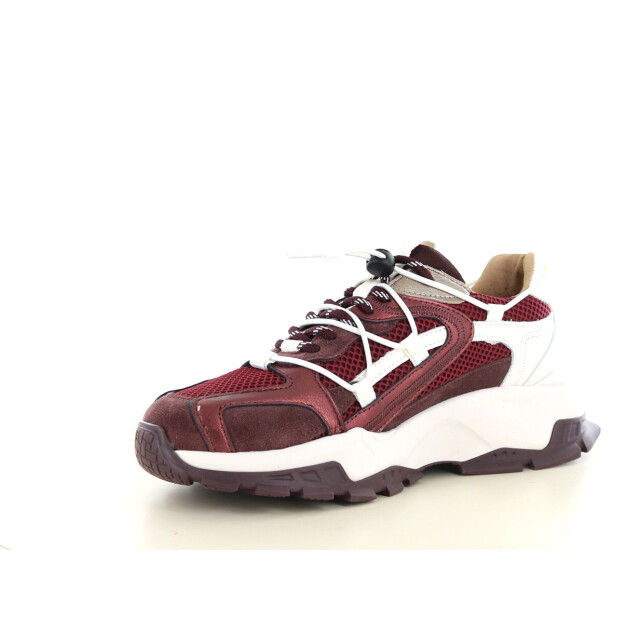 DWRS Label Isola 237.34.010 large