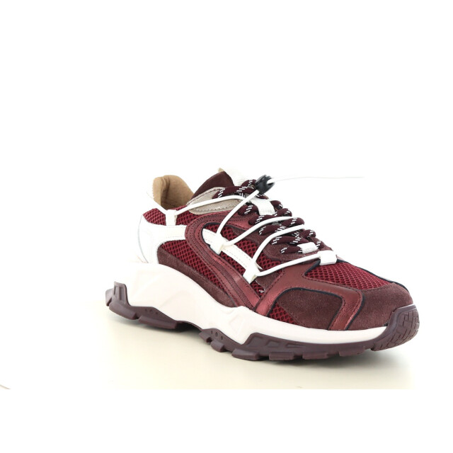 DWRS Label Isola 237.34.010 large