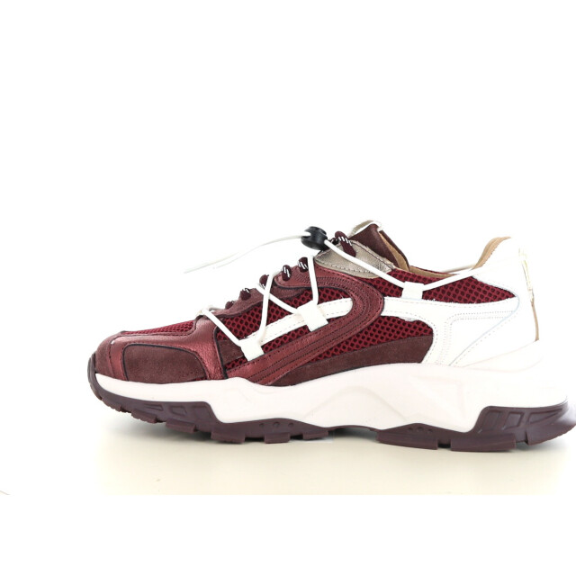 DWRS Label Isola 237.34.010 large