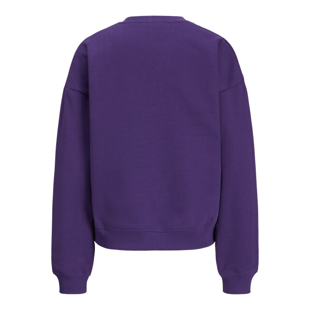 Jack & Jones Jxjackie ls rlx print crew swt 12286461 large