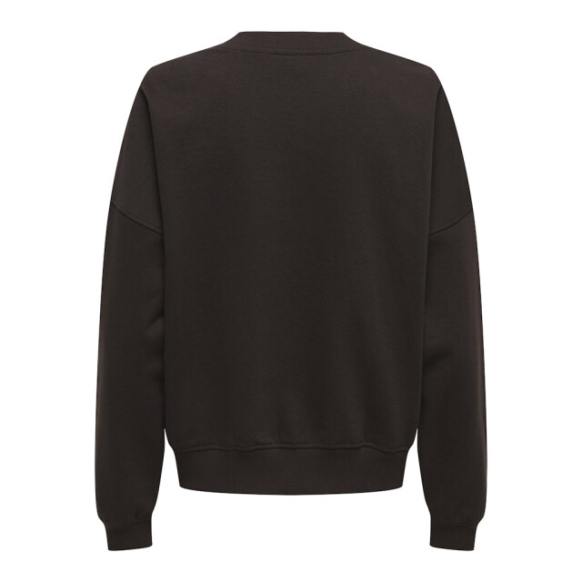Jacqueline de Yong mesa l/s o-neck emb sweat jrs no 15370526 ganache 06721.840.0012 large