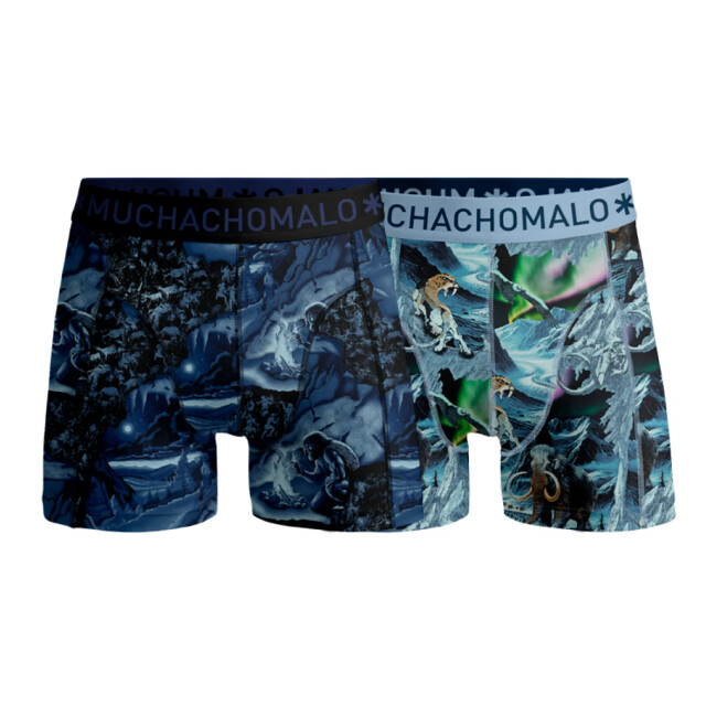 Muchachomalo Boys 2-pack boxer shorts prehistory PREHISTORY1010-04J large