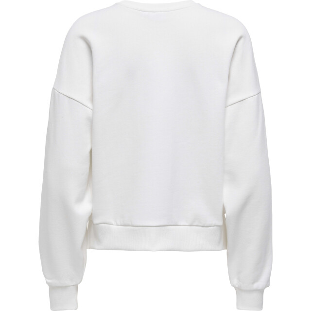 Only Onljenna l/s o-neck emb. box swt cloud dancer/wild 15357575-177922003 large