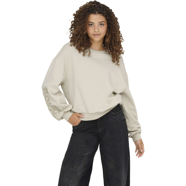 Only Onlbrooklyn l/s embroidery box swt birch/boho flow 15355805-180083003 large