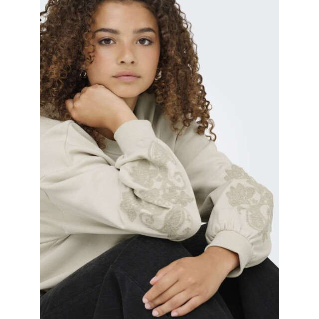 Only Onlbrooklyn l/s embroidery box swt birch/boho flow 15355805-180083003 large