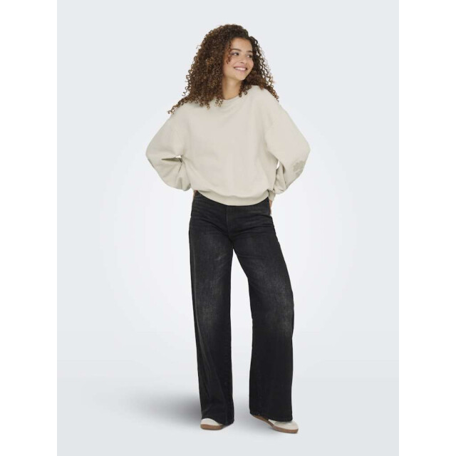 Only Onlbrooklyn l/s embroidery box swt birch/boho flow 15355805-180083003 large