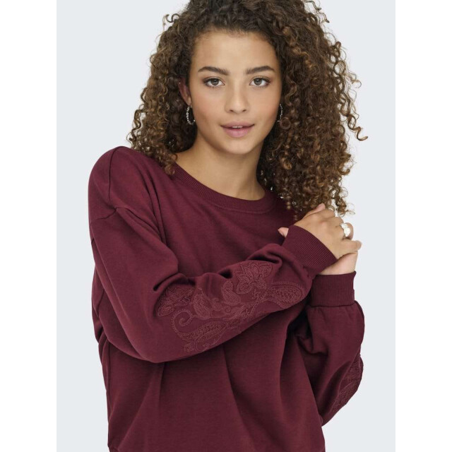 Only Onlbrooklyn l/s embroidery box swt cabernet/boho f 15355805-182651006 large