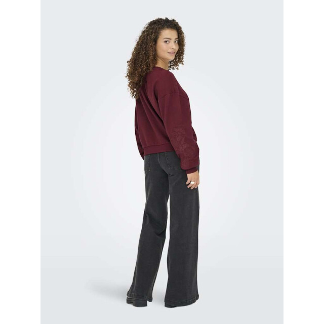 Only Onlbrooklyn l/s embroidery box swt cabernet/boho f 15355805-182651006 large