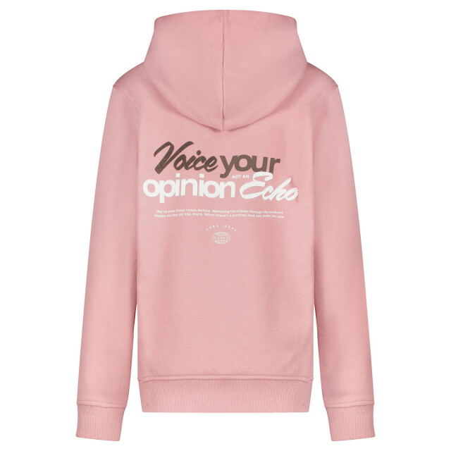 Cars Hoodie 3216562 echo Cars Hoodie 3216562 ECHO large