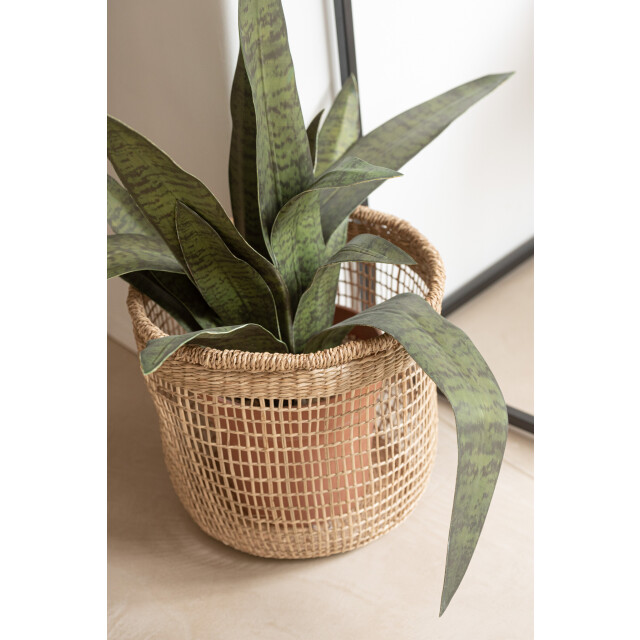 J-Line Set of 5 baskets oasis seagrass light natural 11115 large