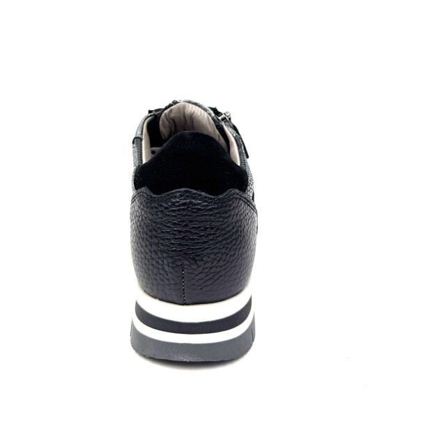 DL Sport 6725 6725 large