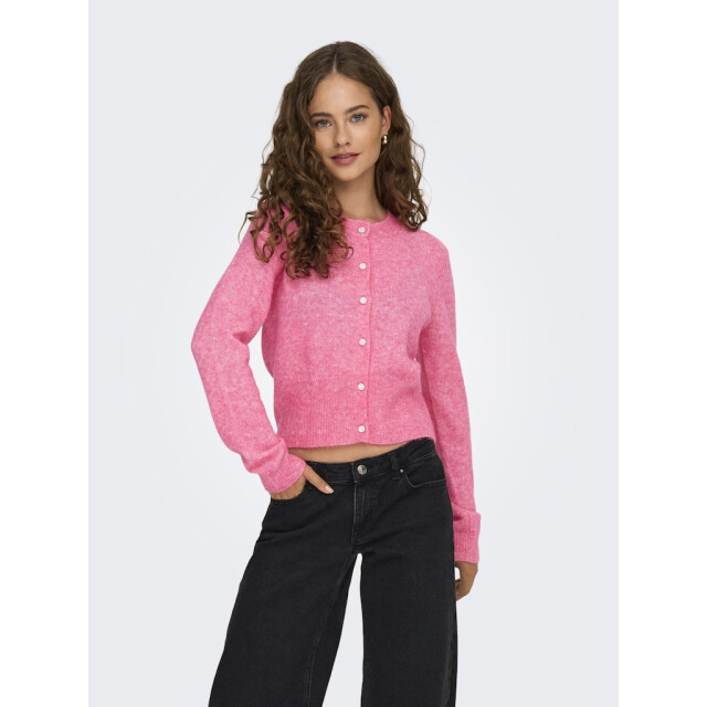 Only Onlhavanna ls button cardigan knt - 4249.60.0001 large