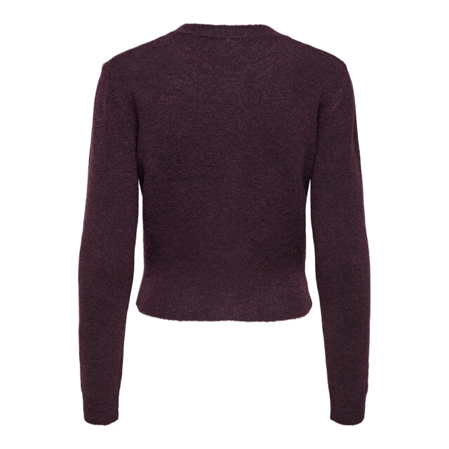 Only Onlhavanna ls button cardigan knt bordeaux 4249.47.0019 large