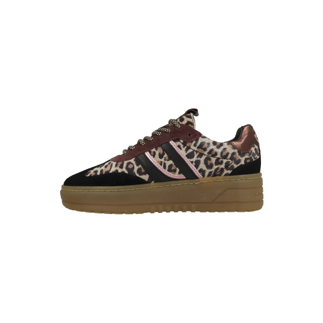 PS Poelman Anemone lpanemone-49poe1 / bruin LPANEMONE large