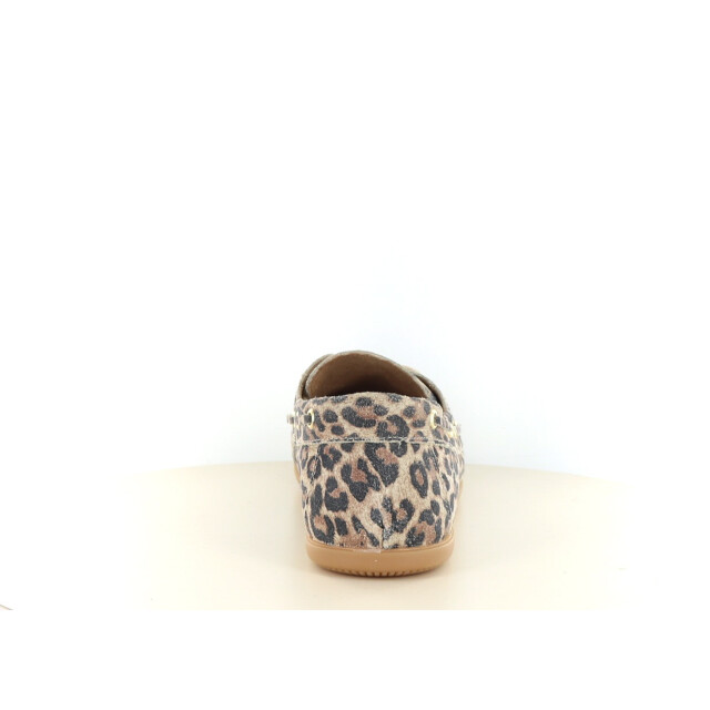 DWRS Label Latty 247.39.086 large