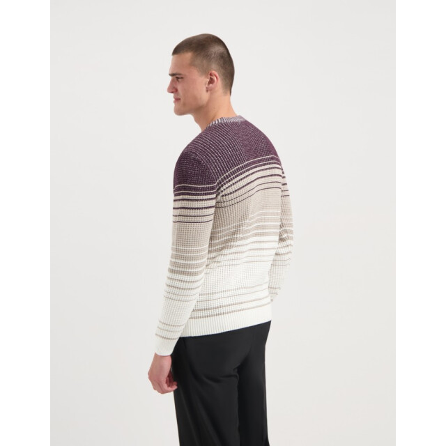 Saint Steve Brent 240903 80012 plum melange heren trui 80012 Plum Melange/BRENT 240903 large