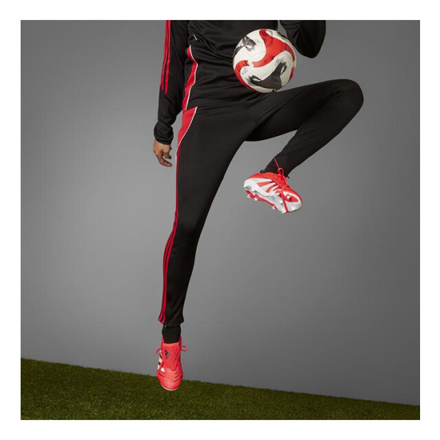Adidas Predator league ft fg/mg ID1319 large