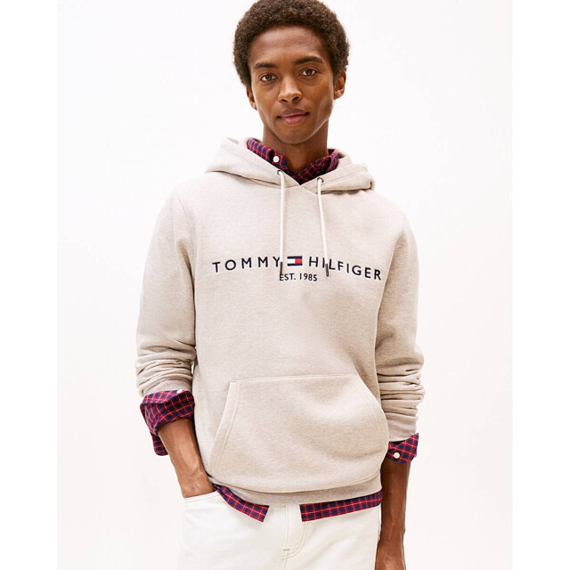 Tommy Hilfiger Hoodie mw0mw11599 Tommy Hilfiger Hoodie MW0MW11599 large