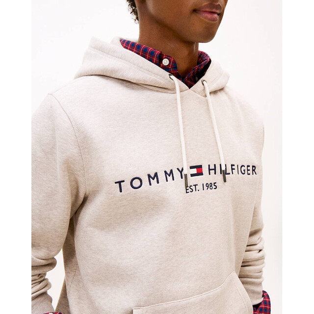 Tommy Hilfiger Hoodie mw0mw11599 Tommy Hilfiger Hoodie MW0MW11599 large