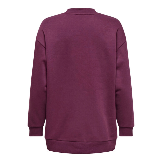 Jacqueline de Yong Mesa life l/s oversize sweat 15359930 large