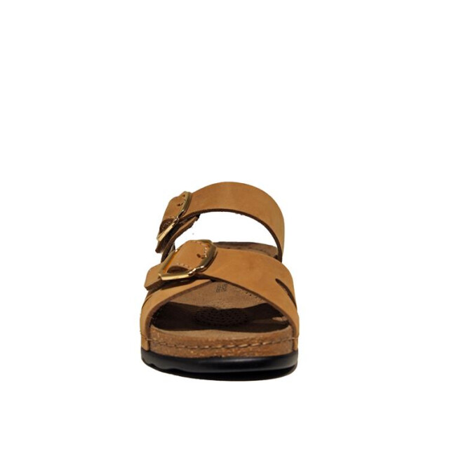 Rohde 5430 5430 large