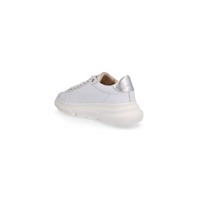 Roberto d'Angelo Rosalie sneakers Rosalie large