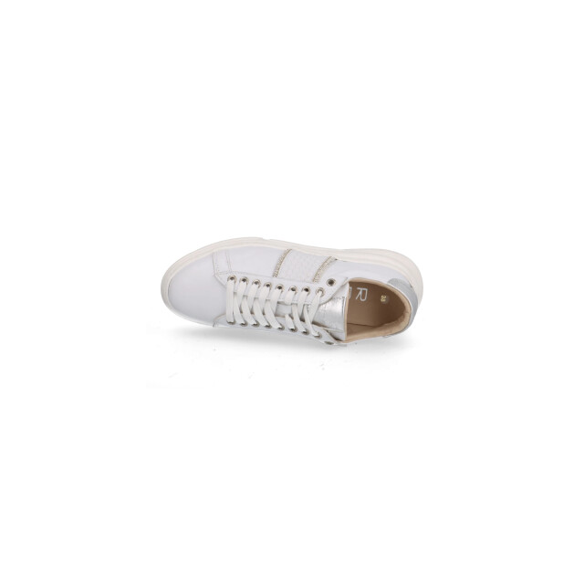 Roberto d'Angelo Rosalie sneakers Rosalie large