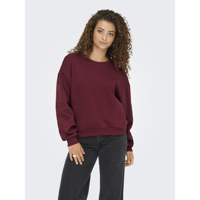 Only Onlbrooklyn ls embroidery box swt wijn 4209.43.0015 large