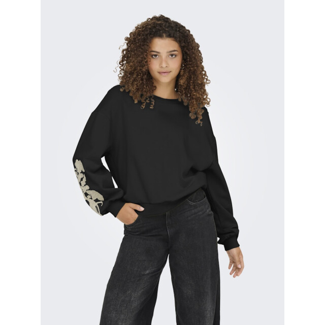 Only Onlbrooklyn ls embroidery box swt - 4209.80.0007 large