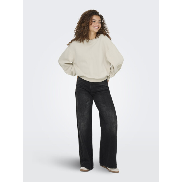 Only Onlbrooklyn ls embroidery box swt ecru 4209.03.0011 large