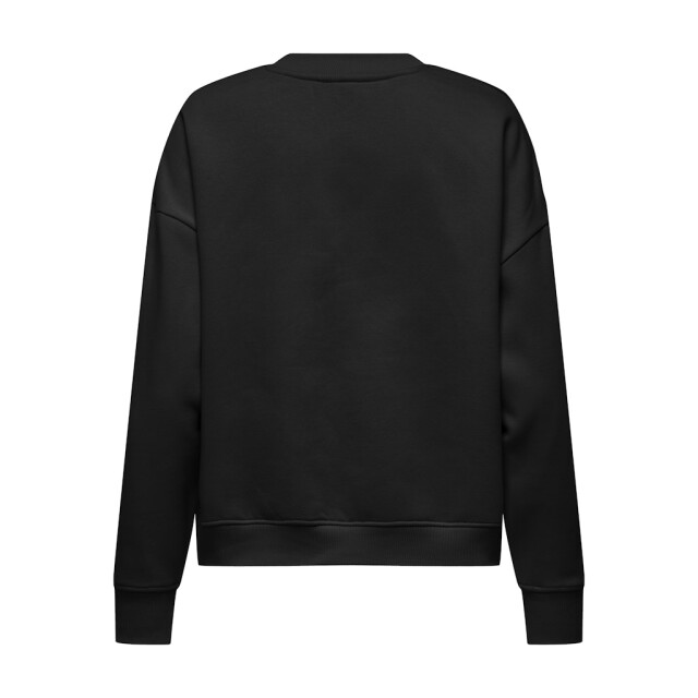 Jacqueline de Yong Jdycanoa ls emb sweat jrs noos dessin 4209.89.0002 large