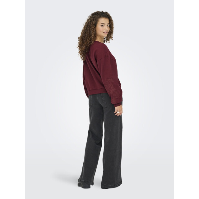 Only Onlbrooklyn ls embroidery box swt wijn 4209.43.0015 large