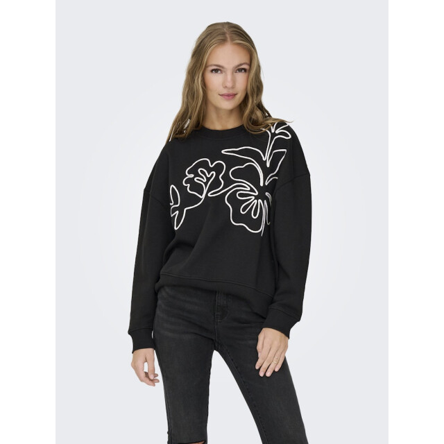 Jacqueline de Yong Jdycanoa ls emb sweat jrs noos dessin 4209.89.0002 large