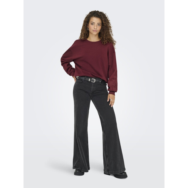 Only Onlbrooklyn ls embroidery box swt wijn 4209.43.0015 large